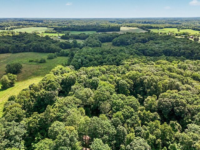 12017 Lilac Lane, Dowling, MI 49050