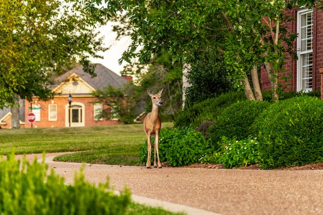 107 Mimosa Dr, Gallatin, TN 37066