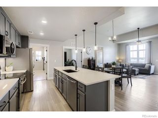 4210 Vulcan Creek Drive 308, Loveland, CO 80538