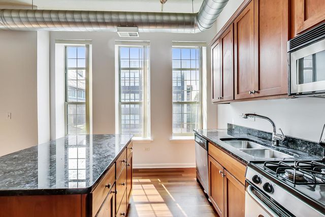 1919 S Michigan Avenue 302, Chicago, IL 60616