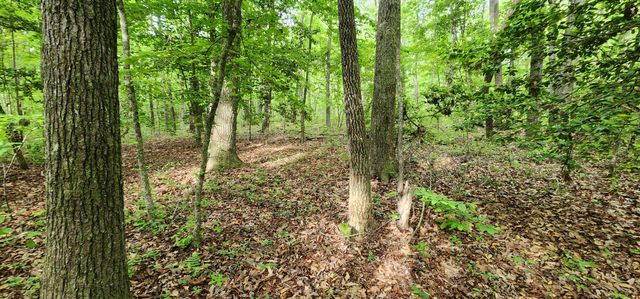 0 Windstone Drive, Tracy City, TN 37387
