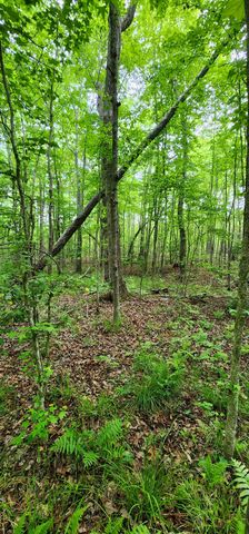 0 Windstone Drive, Tracy City, TN 37387