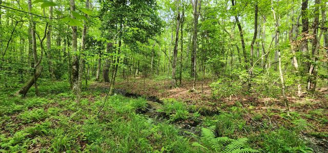 0 Windstone Drive, Tracy City, TN 37387
