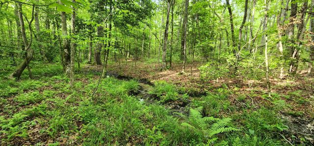 0 Windstone Drive, Tracy City, TN 37387
