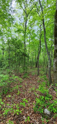0 Windstone Drive, Tracy City, TN 37387