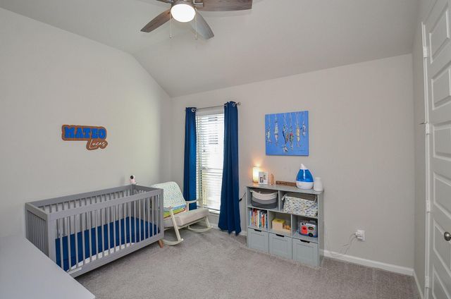 30247 Gold Finch Place, Fulshear, TX 77441