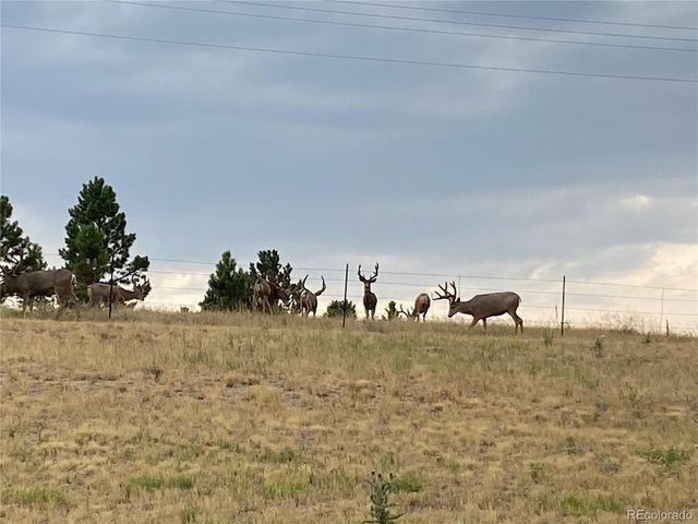 575 Howling Cir, Elizabeth, CO 80107