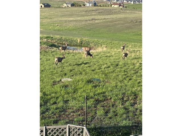 575 Howling Cir, Elizabeth, CO 80107