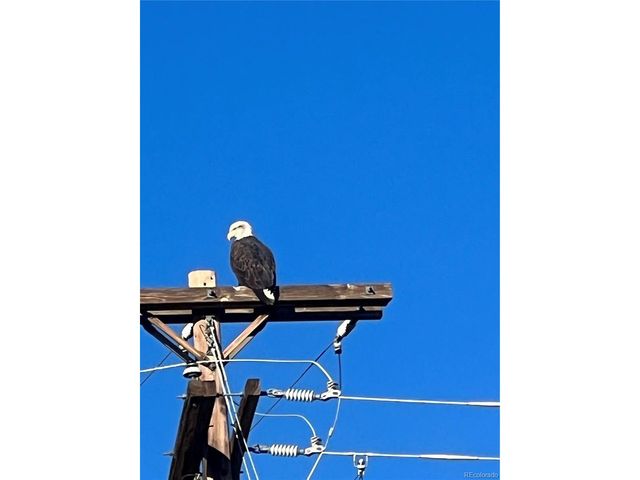 575 Howling Cir, Elizabeth, CO 80107