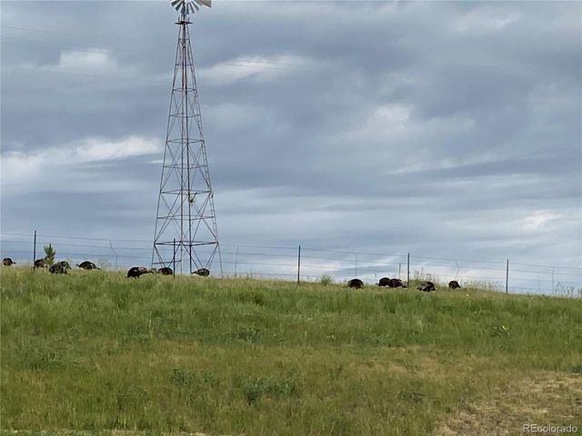 575 Howling Cir, Elizabeth, CO 80107