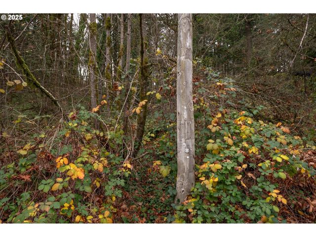 Sw LANCASTER Rd, Portland, OR 97219