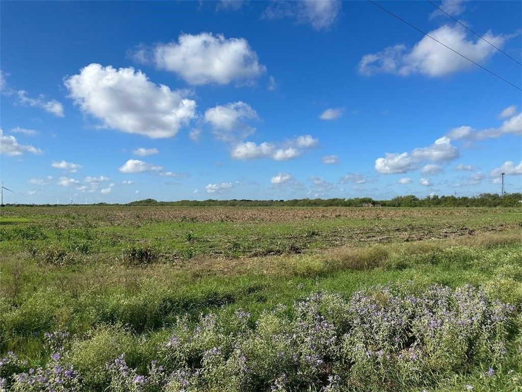 0000 County Road 1064, Taft, TX 78390 — photo 5