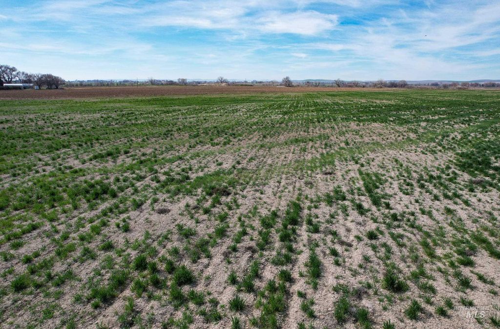 4465 Oak Road, Ontario, OR 97914 photo 5