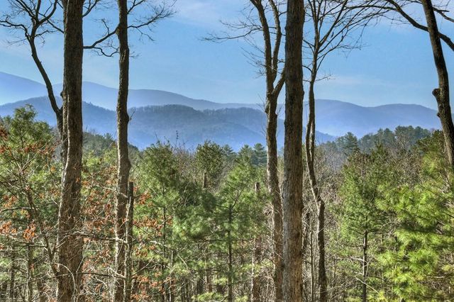 1183 Bear Paw Trail, Blue Ridge, GA 30513