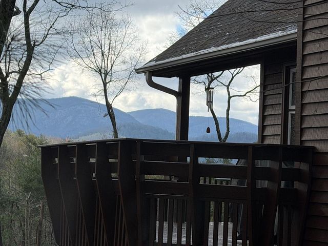 1183 Bear Paw Trail, Blue Ridge, GA 30513