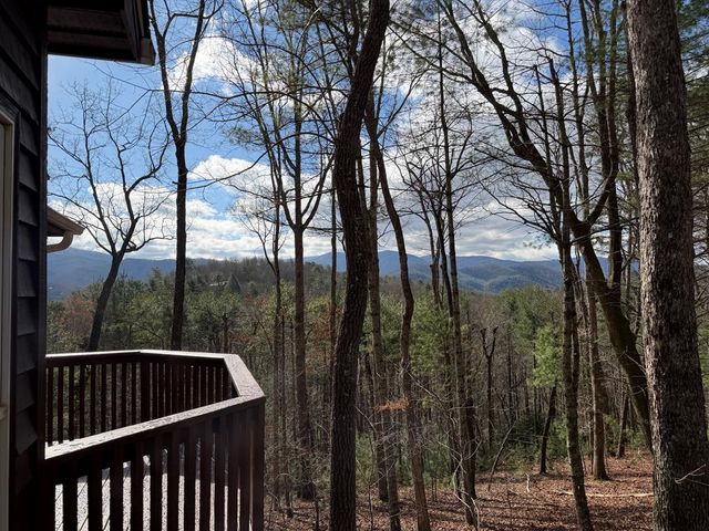1183 Bear Paw Trail, Blue Ridge, GA 30513