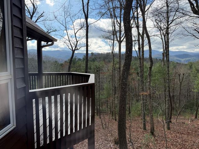 1183 Bear Paw Trail, Blue Ridge, GA 30513