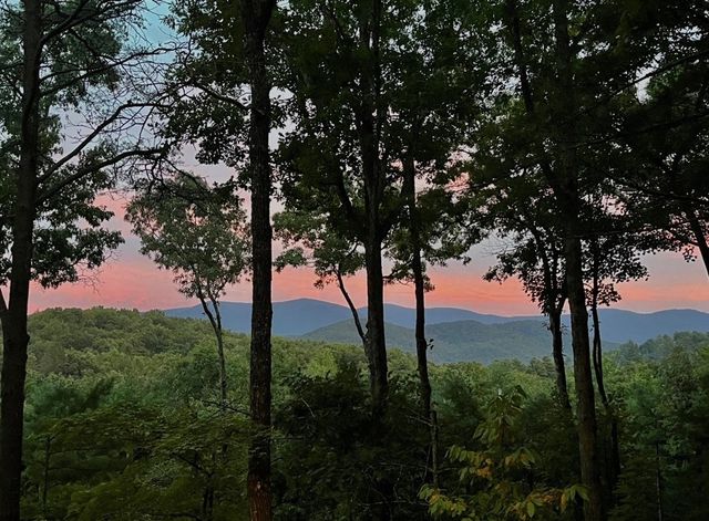 1183 Bear Paw Trail, Blue Ridge, GA 30513