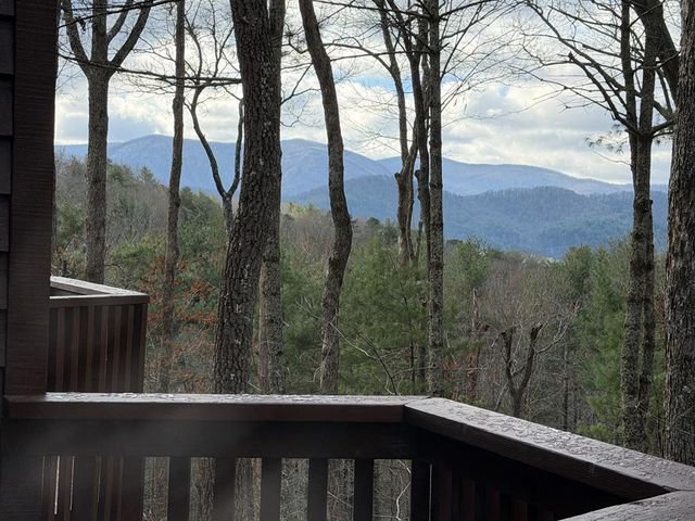 1183 Bear Paw Trail, Blue Ridge, GA 30513