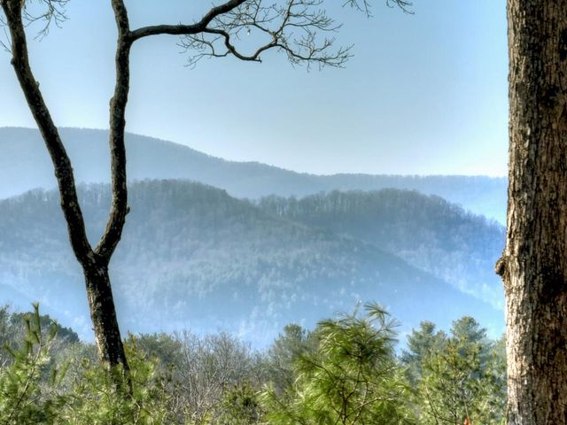 1183 Bear Paw Trail, Blue Ridge, GA 30513