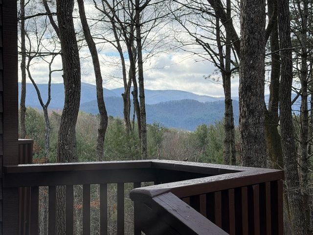 1183 Bear Paw Trail, Blue Ridge, GA 30513