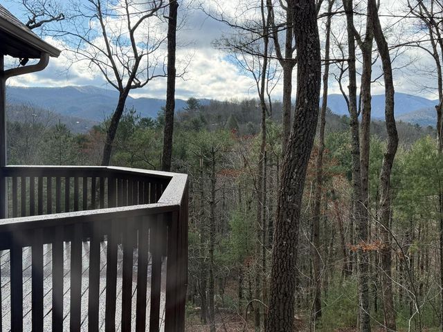 1183 Bear Paw Trail, Blue Ridge, GA 30513