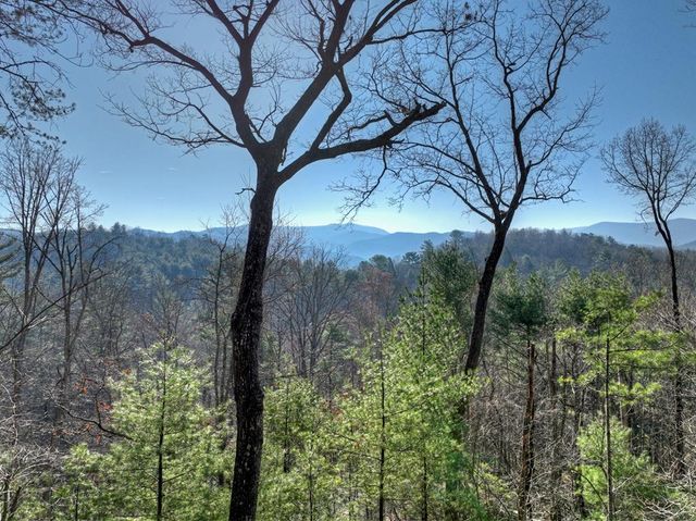 1183 Bear Paw Trail, Blue Ridge, GA 30513