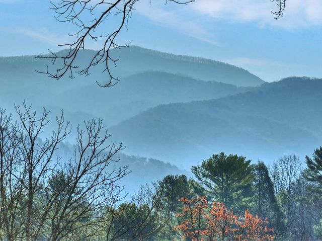 1183 Bear Paw Trail, Blue Ridge, GA 30513