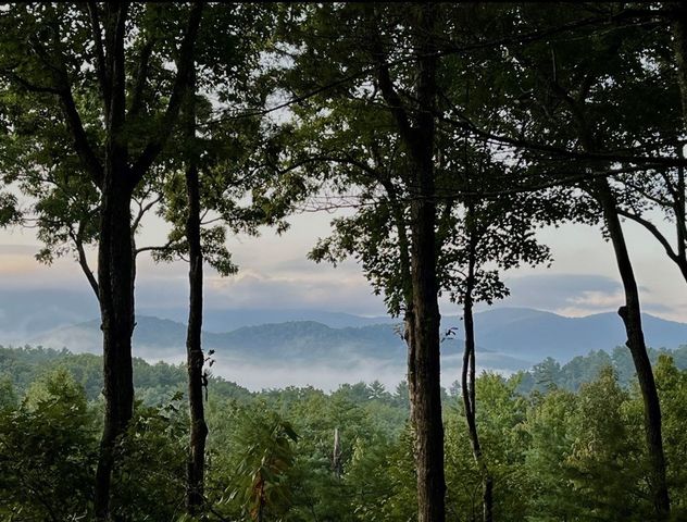 1183 Bear Paw Trail, Blue Ridge, GA 30513