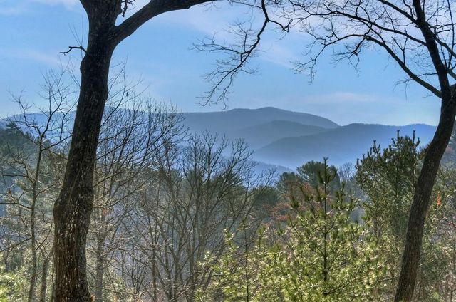 1183 Bear Paw Trail, Blue Ridge, GA 30513