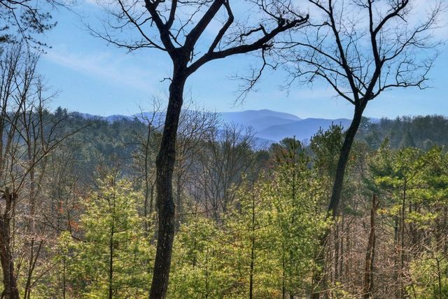 1183 Bear Paw Trail, Blue Ridge, GA 30513