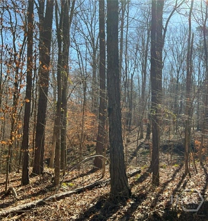 Image 2 of property listing at 0 Long Leaf Drive, Thomson, GA 30824