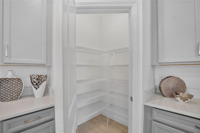 17206 STAR BANKS STREET, Wimauma, FL 33598