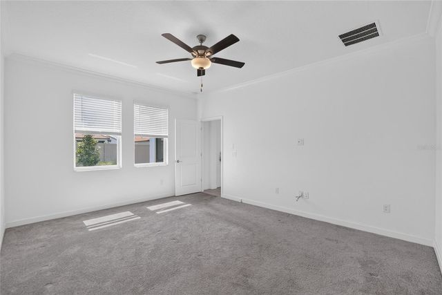 17206 STAR BANKS STREET, Wimauma, FL 33598