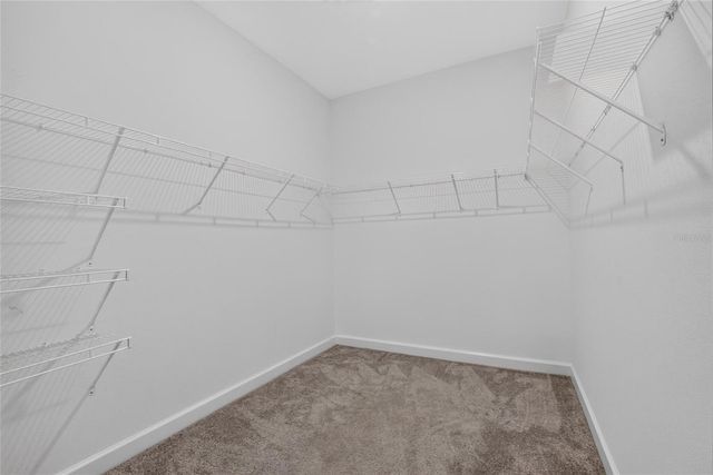 17206 STAR BANKS STREET, Wimauma, FL 33598