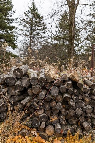 10357 117th Street N, Grant, MN 55082