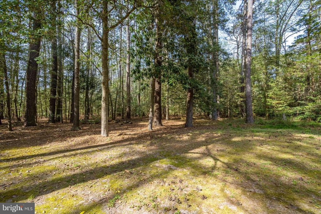 Image 53 of property listing at 3531 TALL PINES LN, Snow Hill, MD 21863