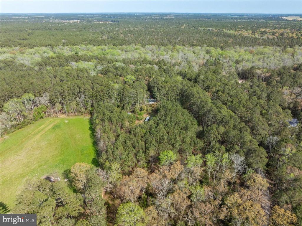 Image 54 of property listing at 3531 TALL PINES LN, Snow Hill, MD 21863