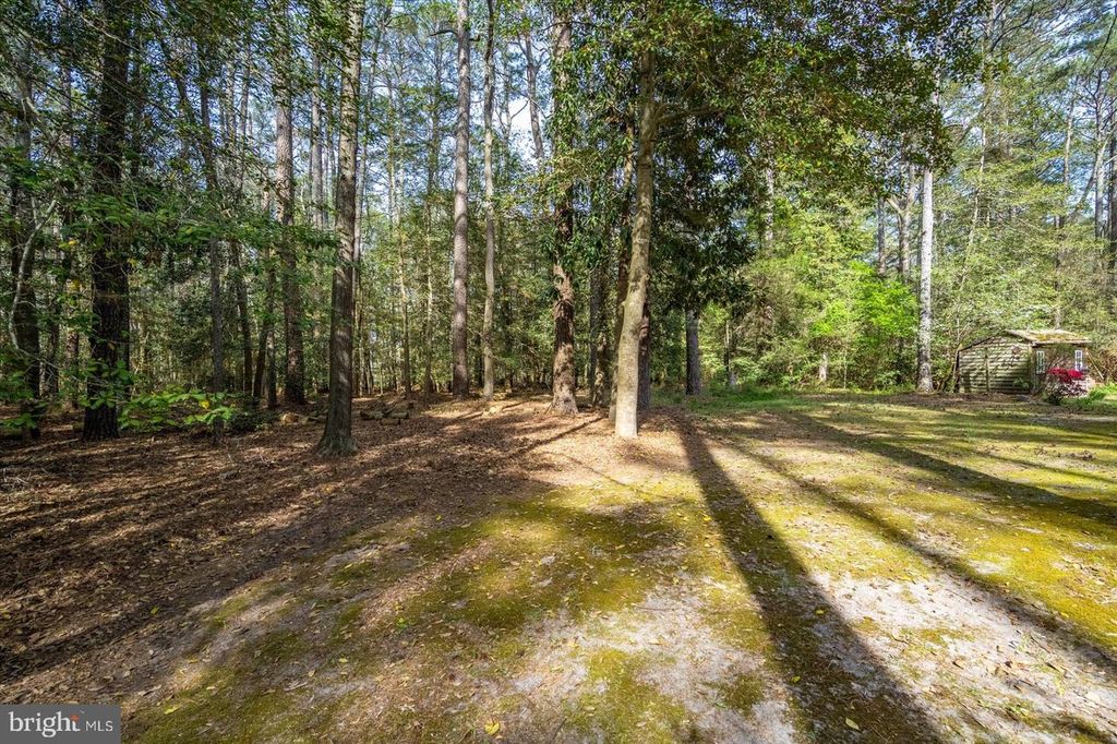 Image 56 of property listing at 3531 TALL PINES LN, Snow Hill, MD 21863