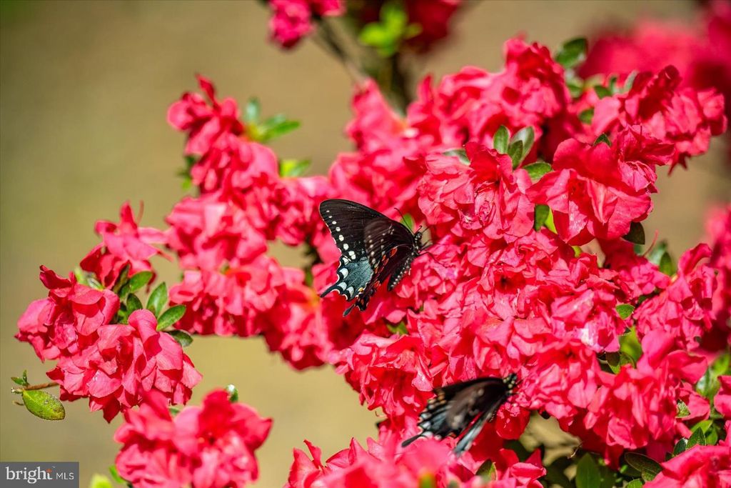 Image 6 of property listing at 3531 TALL PINES LN, Snow Hill, MD 21863