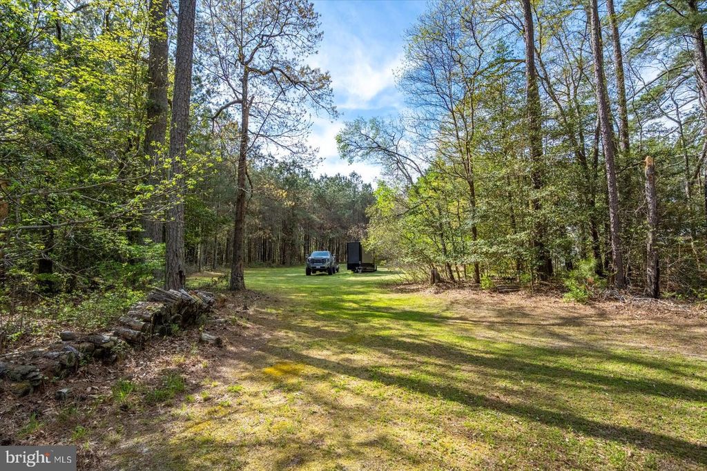 Image 60 of property listing at 3531 TALL PINES LN, Snow Hill, MD 21863