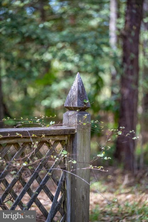 Image 69 of property listing at 3531 TALL PINES LN, Snow Hill, MD 21863