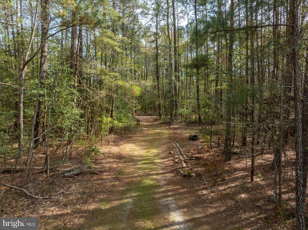 Image 72 of property listing at 3531 TALL PINES LN, Snow Hill, MD 21863