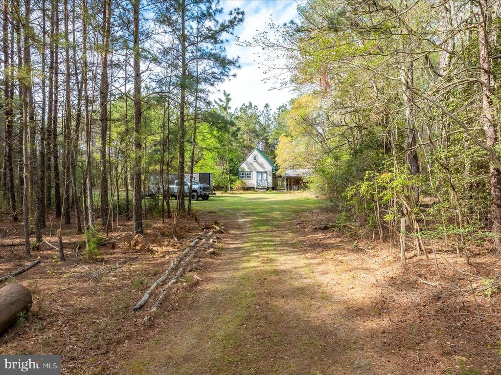 Image 74 of property listing at 3531 TALL PINES LN, Snow Hill, MD 21863