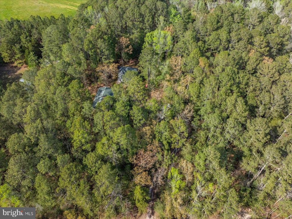 Image 82 of property listing at 3531 TALL PINES LN, Snow Hill, MD 21863