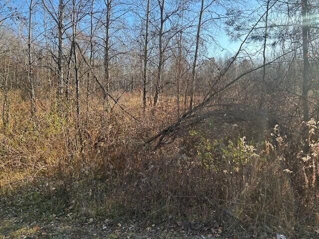 1660 N Bard Road, Gladwin, MI 48624