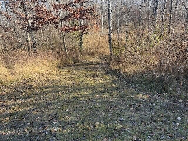 1660 N Bard Road, Gladwin, MI 48624