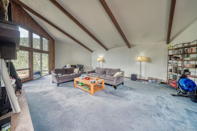 15351 Chimney Rock Road, Nathrop, CO 81236