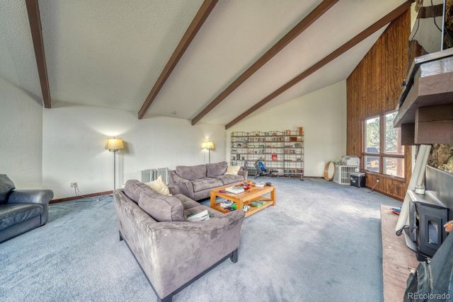 15351 Chimney Rock Road, Nathrop, CO 81236