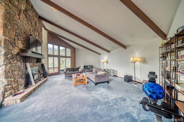 15351 Chimney Rock Road, Nathrop, CO 81236